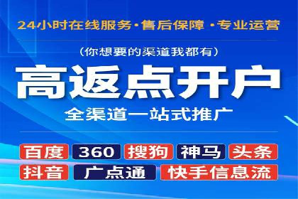 百度推广实战技巧：案例详解